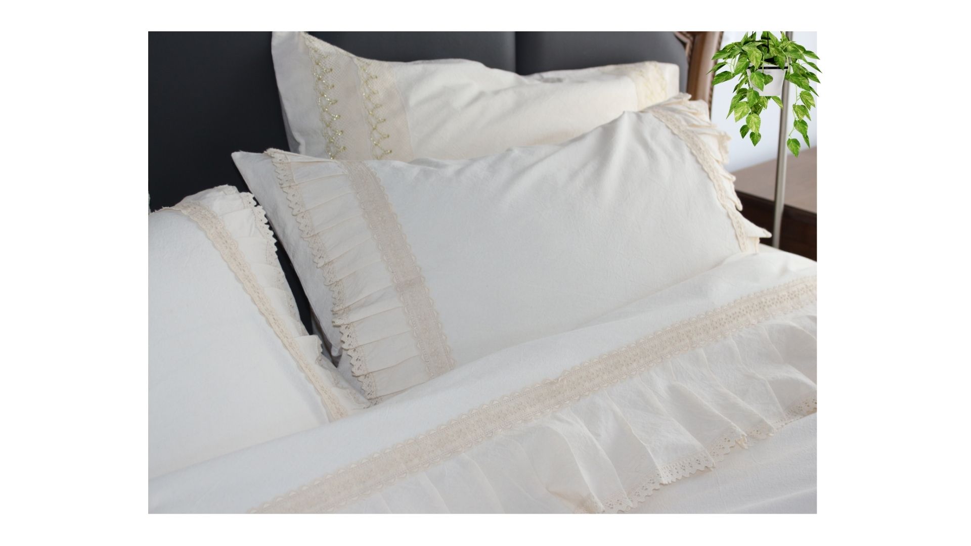 Cotton breeze Nature Vibe